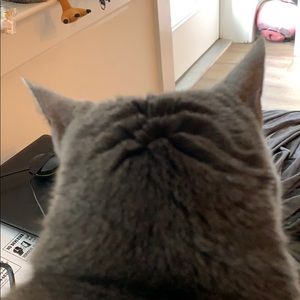 Meet your Posher, Mike